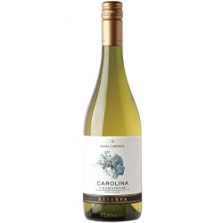 Rượu vang Chile Santa Carolina Reserva Chardonnay Rượu vang Chile Santa Carolina Reserva Chardonnay