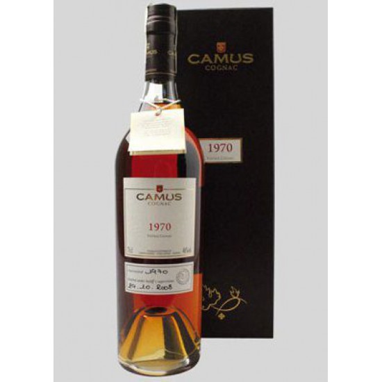 Camus Vintage 1980 Camus Vintage 1980
